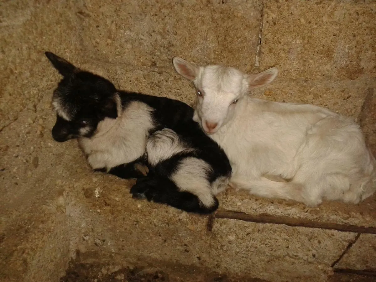 Agrotourism Himara Hotel