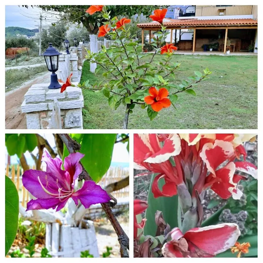Agrotourism Himara Hotel Guest house Himare