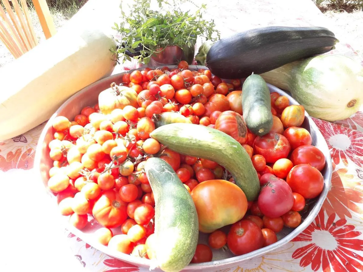 Guest house Agrotourism Himara Hotel Albania